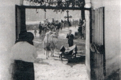 pohreb A.P.3